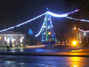 Ночная елка в Берестовице