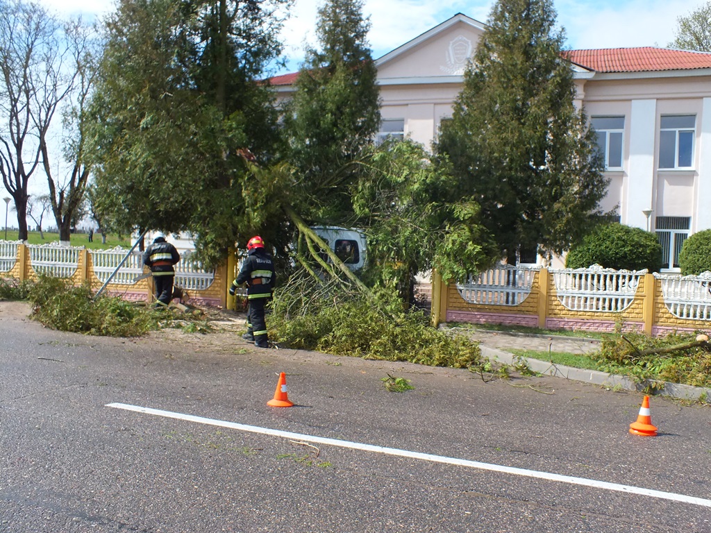 Сломанное порывом ветра дерево упало в Берестовице на микроавтобус