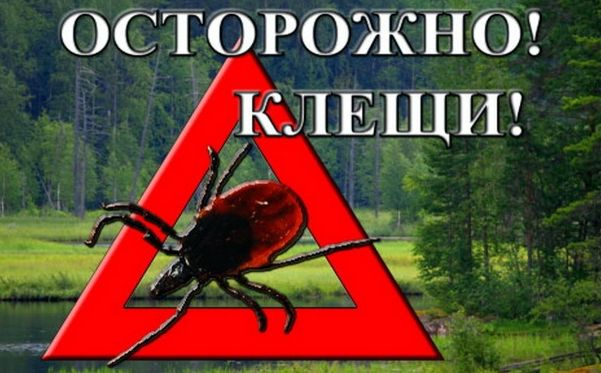 Клещи атакуют