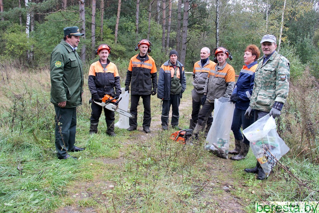 Работники Берестовицкого лесничества провели акцию «Чистый лес»