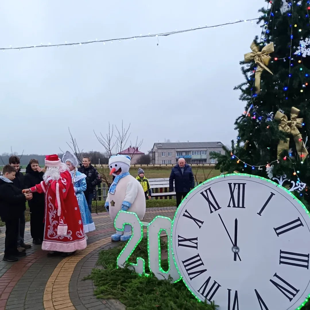 Новогодние огоньки зажглись на главной елке агрогородка Массоляны