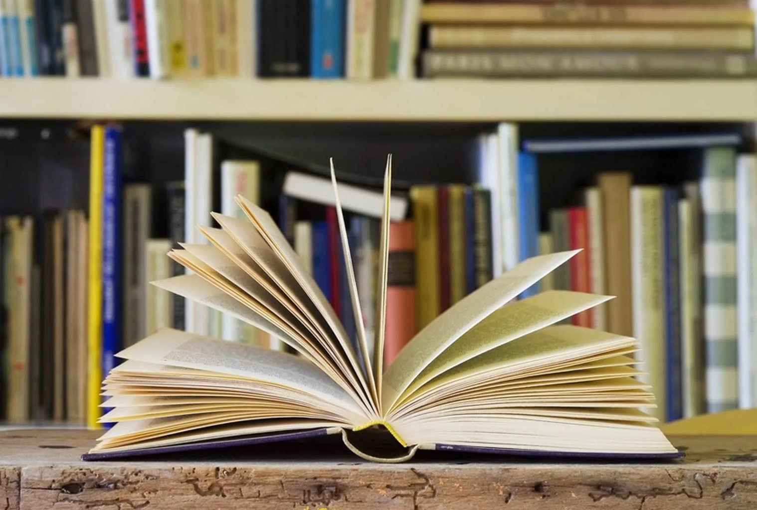 Фестиваль книги "Гродненский литфест" соберет любителей литературы в парке Жилибера 1 июня