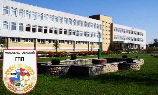 День открытых дверей  в Малоберестовицком лицее