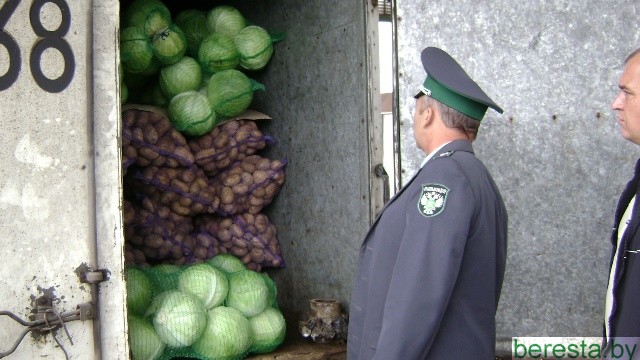 О вывозе подкарантинной продукции