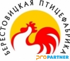 На Бераставіцкай птушкафабрыцы запасаў няма, прыбытак ёсць