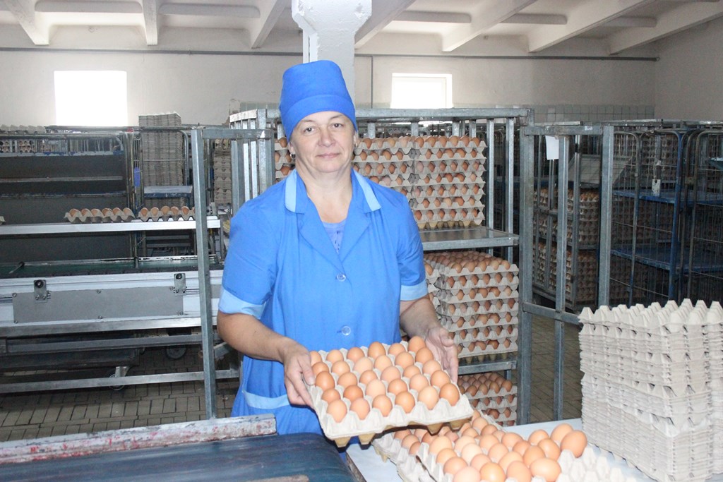 Продолжатели семейной династии на Берестовицкой птицефабрике