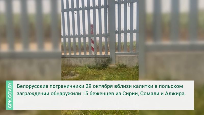 15 избитых беженцев обнаружены на границе с Польшей