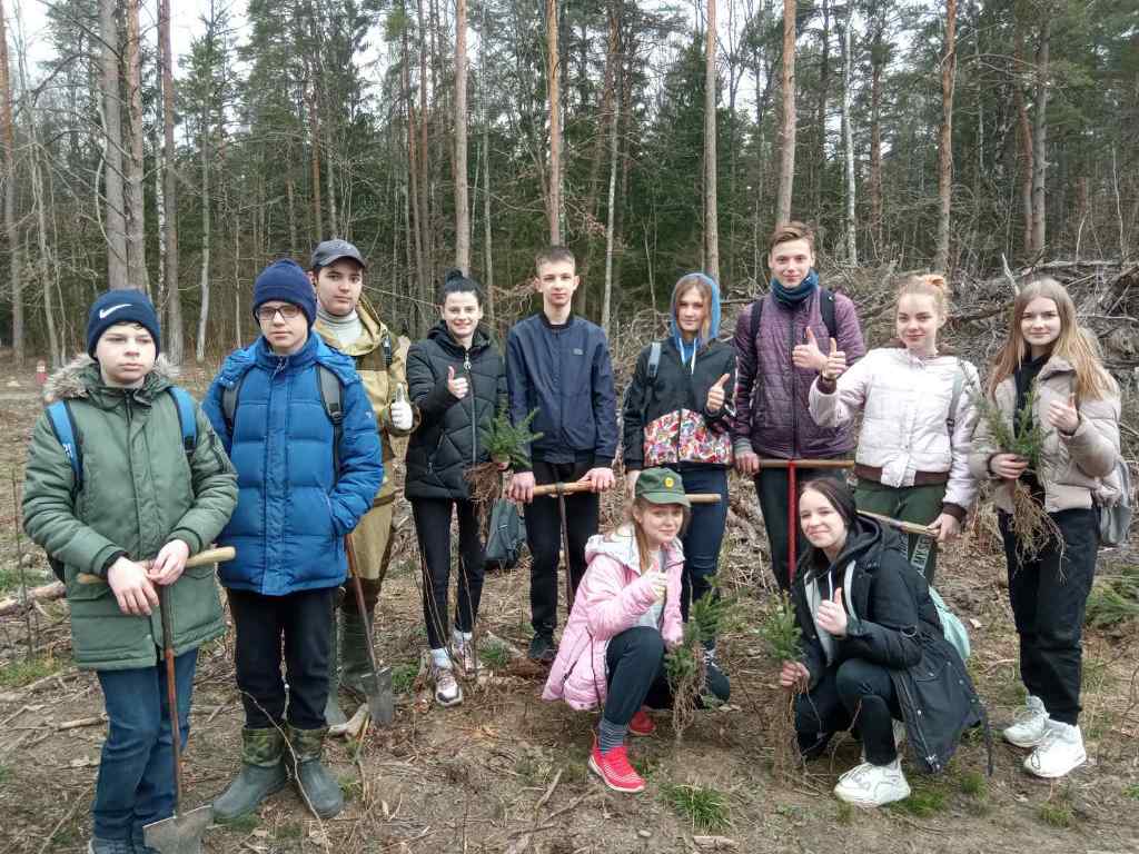 На “зялёнай хвалі”. Вучні сярэдняй школы аграгарадка Пагранічны далучыліся да Тыдня лесу