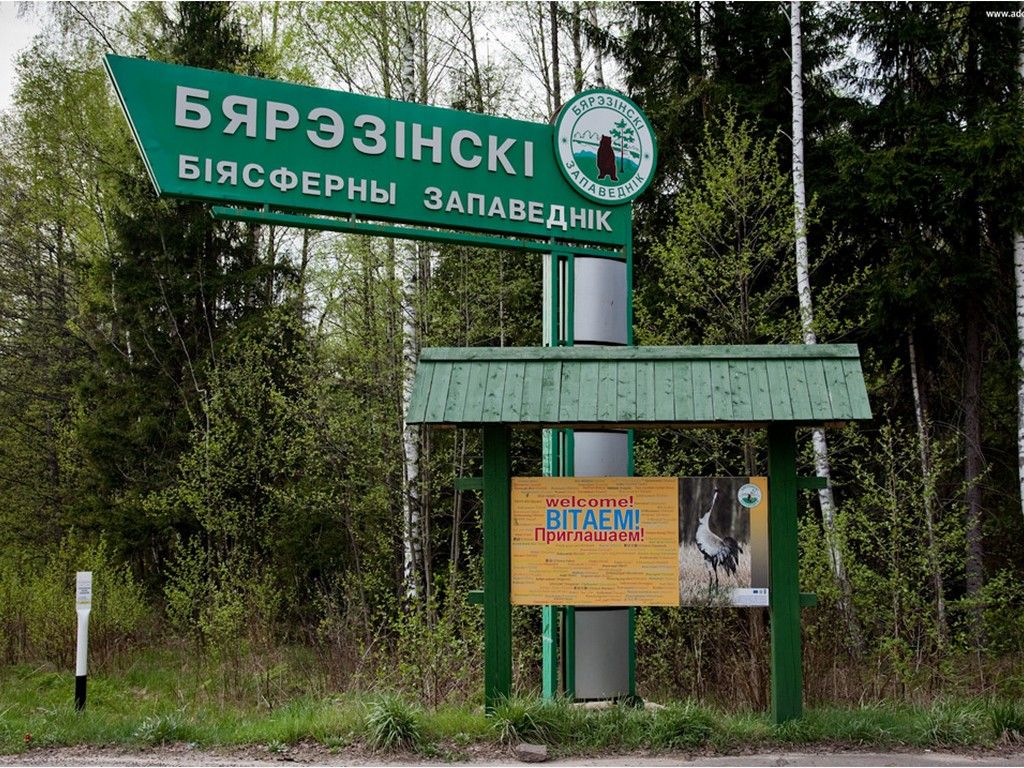 Березинский биосферный заповедник отметил вековой юбилей