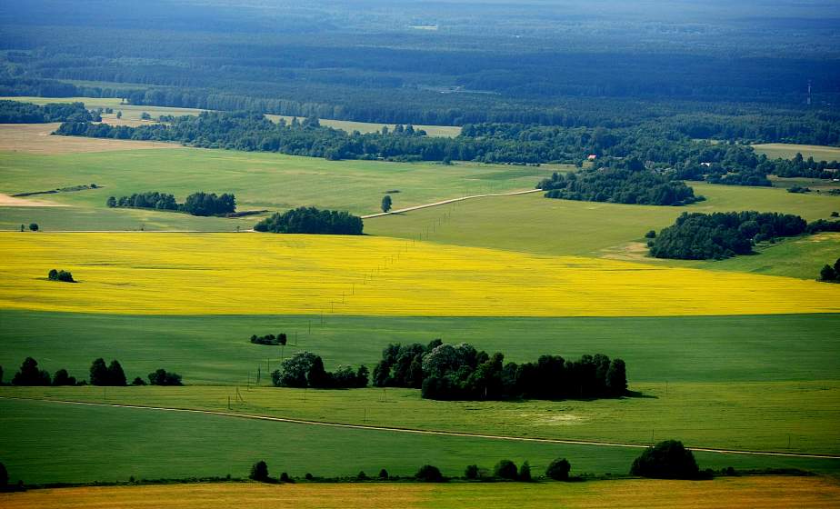 Национальная академия наук Беларуси объявила конкурс творческих работ, посвященный Году народного единства