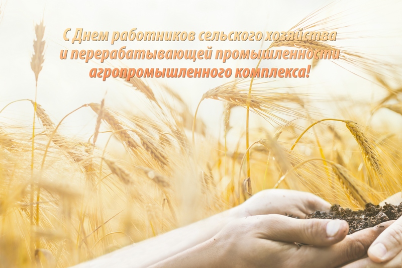 Поздравление Берестовицкого районного исполнительного комитета и Берестовицкого районного Совета депутатов с Днем работника сельского хозяйства и перерабатывающей промышленности агропромышленного комплекса