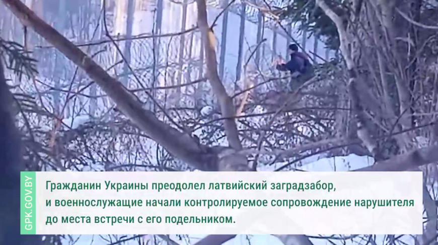 Полоцкие пограничники на границе с Латвией задержали экстремиста из Украины