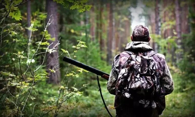Открывается сезон загонной охоты на копытных