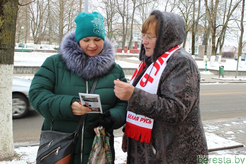 В Берестовице проходят агитационные пикеты