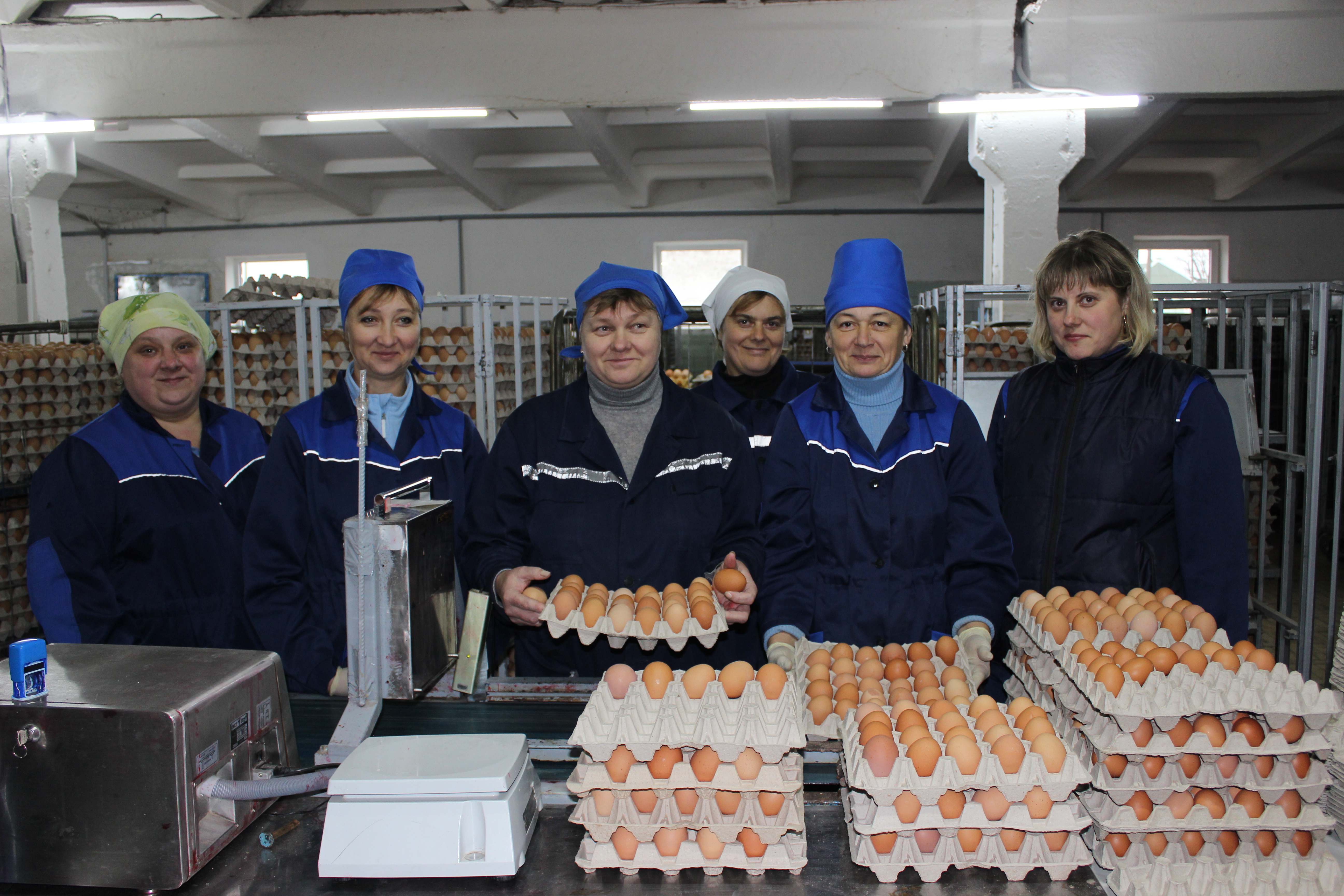 ОАО «Берестовицкая птицефабрика»: гарантия качества и вкуса