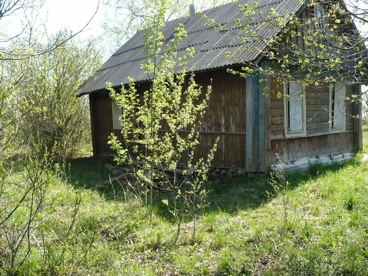 Упрощаются процедуры изъятия   незаселенных домов на селе