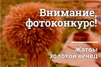 Поддержите берестовицкий сноп в конкурсе «Золотой венец жатвы»!