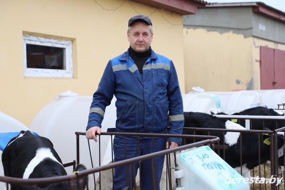 Ветеринар по призванию: Александр Лазарчик 30 лет заботится о животных