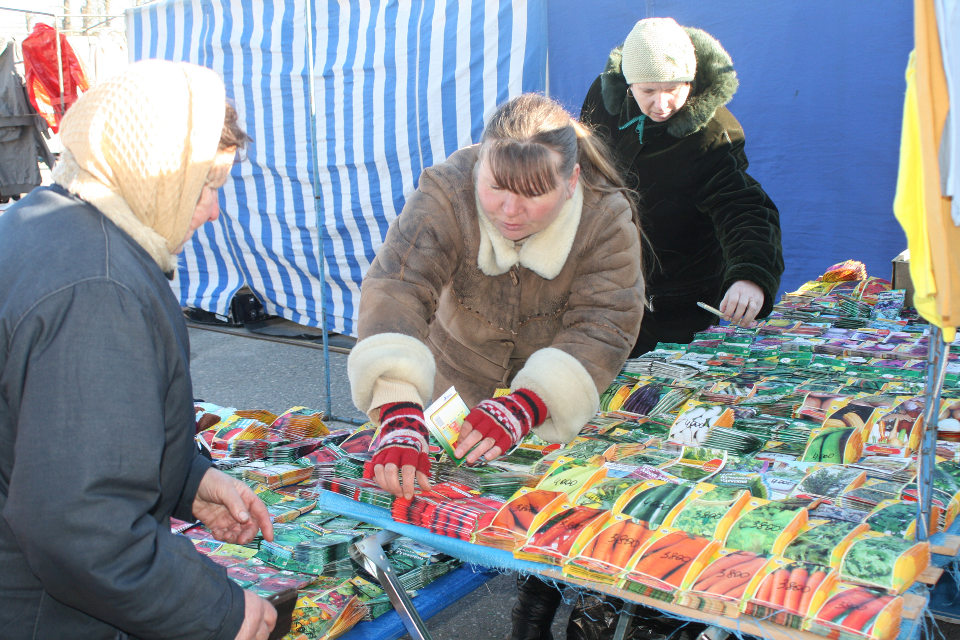 Выбіраем насенне