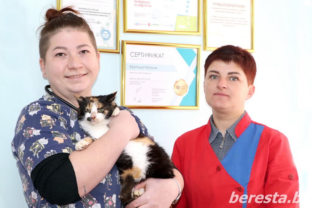 Берестовицкая райветстанция. Весомый вклад в общее дело