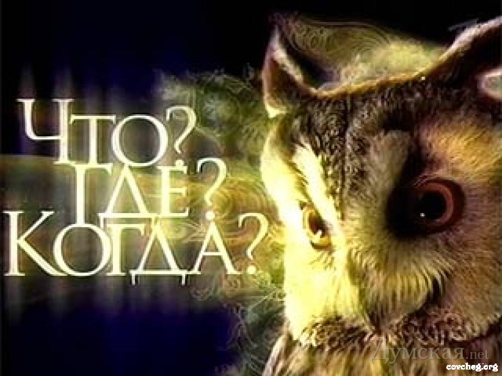 Падведзены вынікі раённага чэмпіянату па інтэлектуальных гульнях