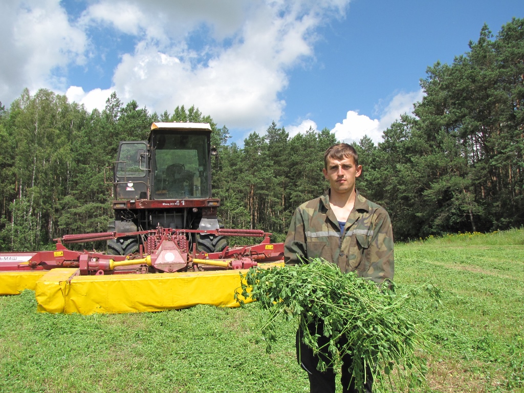 На Бераставіччыне ідзе другі ўкос траў