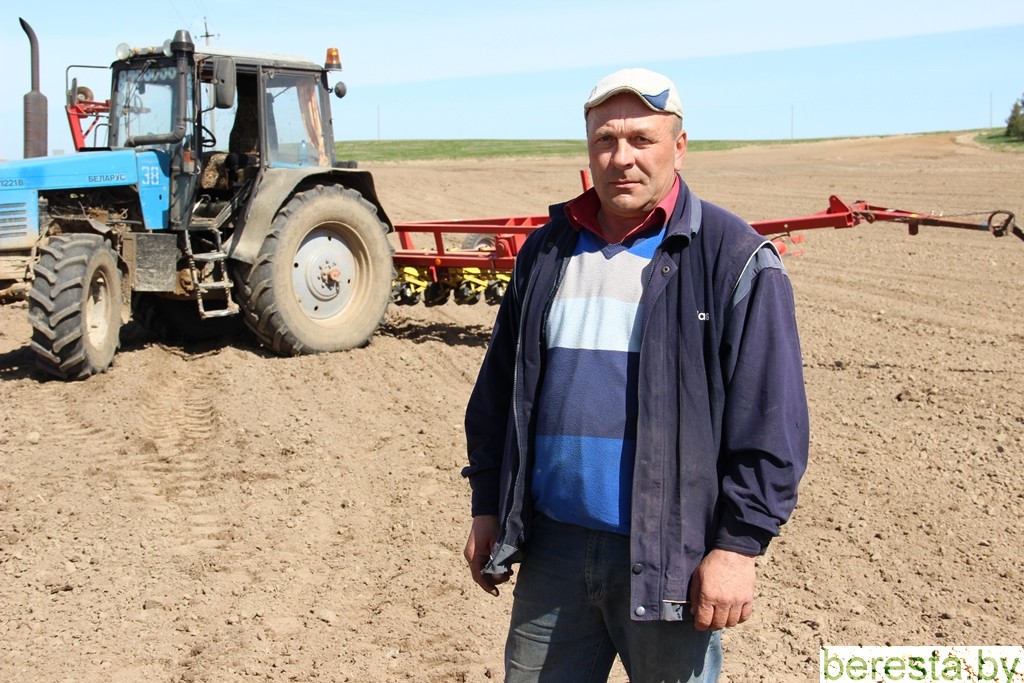 В КСУП "Макаровцы" завершают сев сахарной свеклы