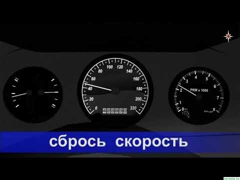 Единый день безопасности дорожного движения прошел в Берестовицком районе