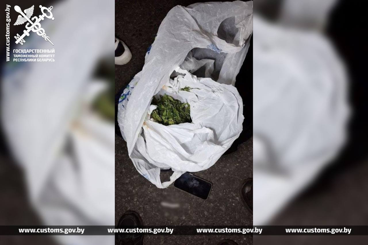 При проведении спецмероприятий гомельские таможенники задержали 35-летнего жителя Жлобина с марихуаной
