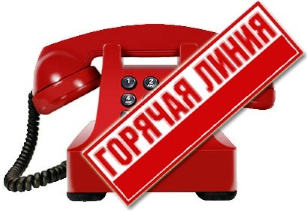 Если есть вопросы по работе лагерей, звоните на прямую линию в редакцию «Бераставіцкай газеты»