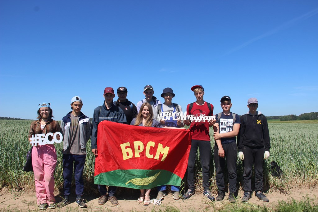И опыт работы, и первая зарплата. В Берестовицком районе трудятся студотряды