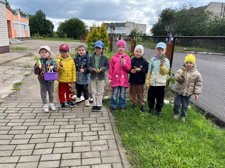 Первый урожай лета собрали олекшицкие дошкольники