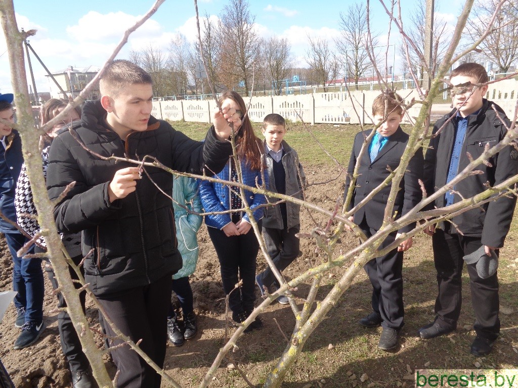У Старадварэцкім яслях-садзе-базавай школе  прывіваюць цікаўнасць да працы на зямлі