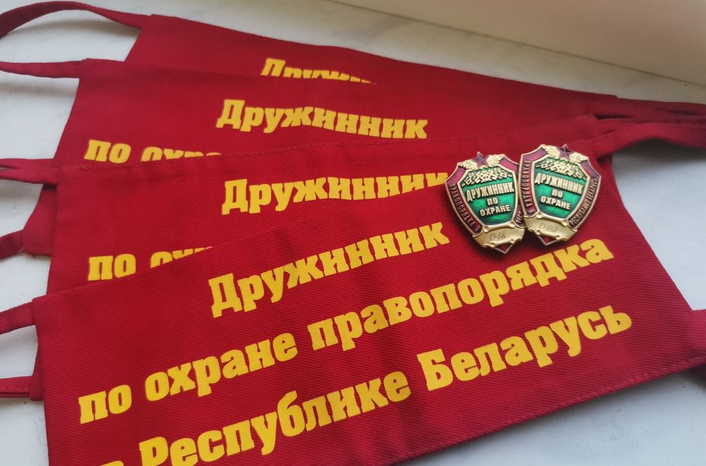Добровольная дружина: порядок вступления, права и льготы