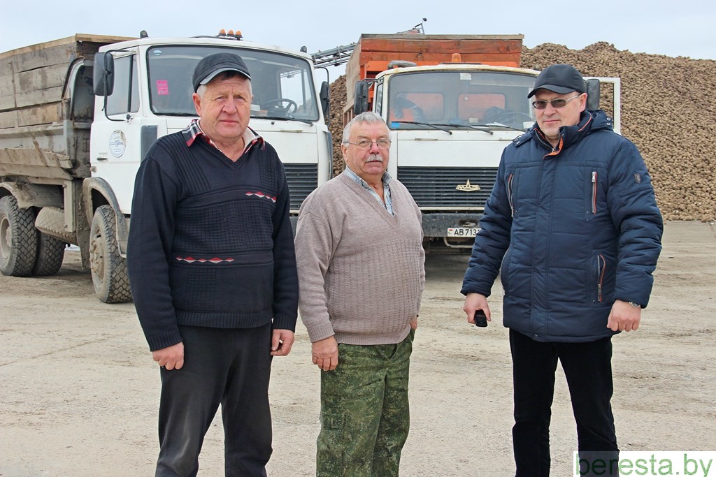 Водители филиала «Автомобильный парк № 18 г. п. Б. Берестовица» ОАО «Гроднооблавтотранс» приходят на подмогу труженикам полей