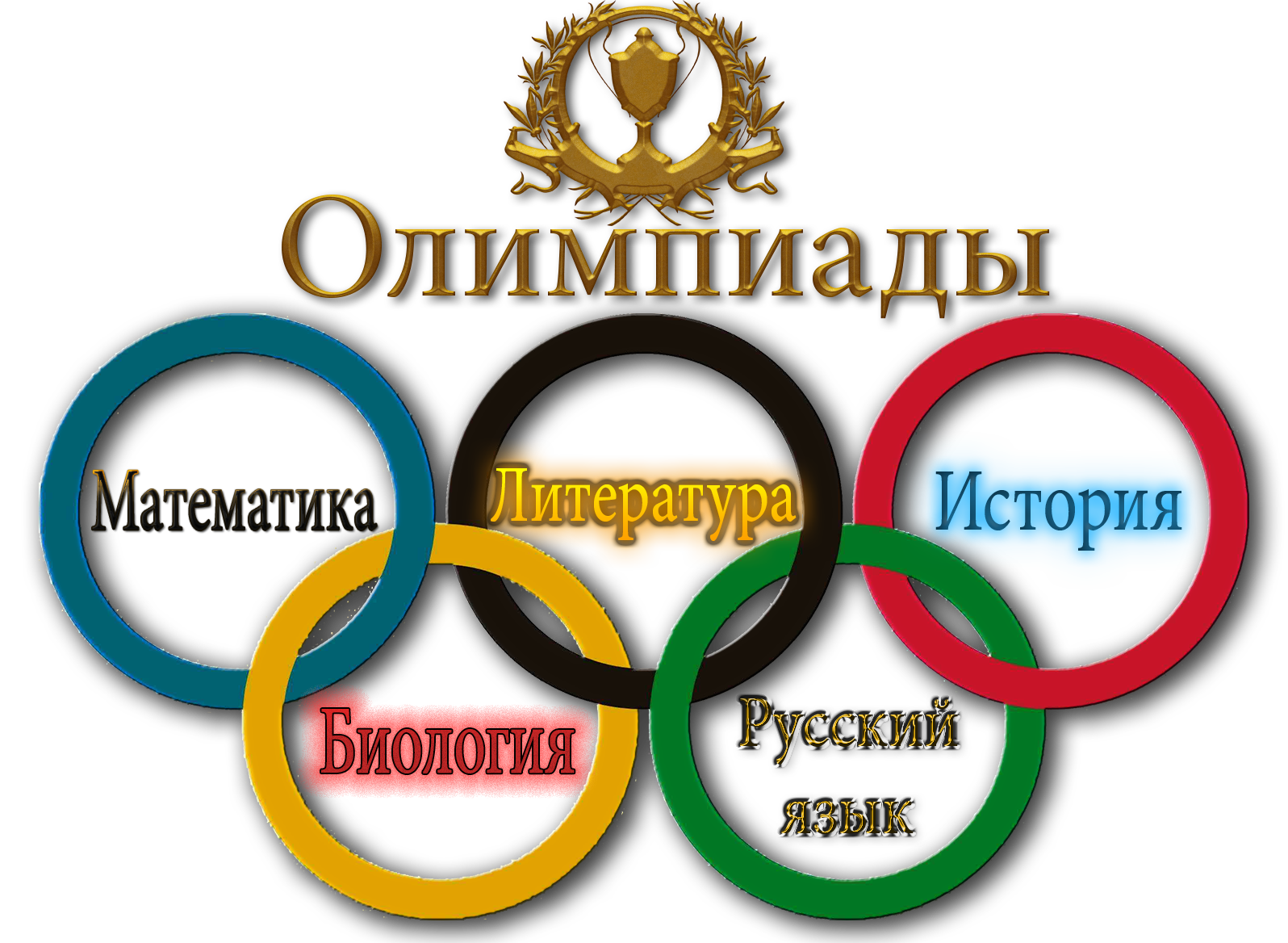 Берестовицкие школьники отмечены на областной олимпиаде
