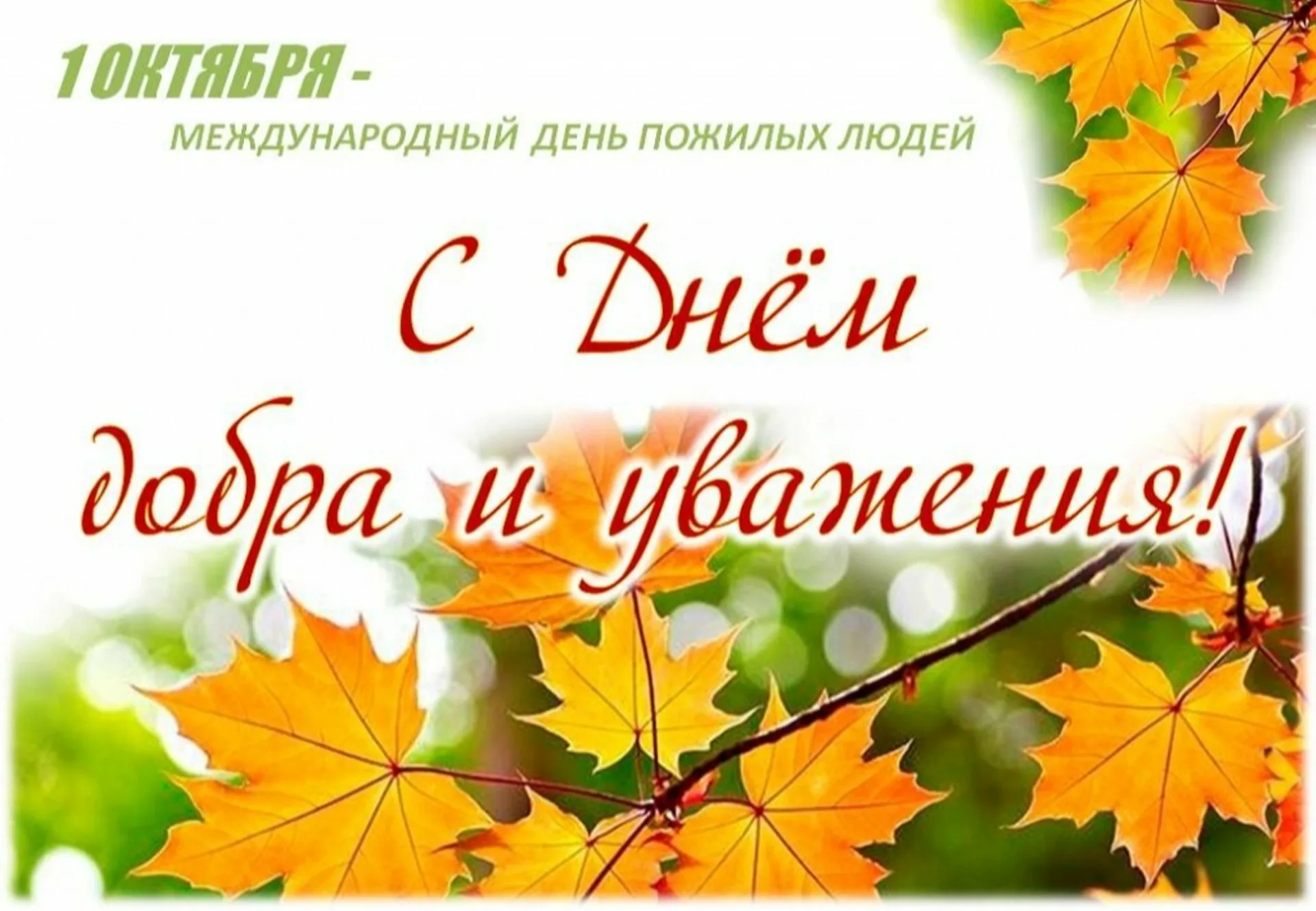 Поздравление Берестовицкого районного исполнительного комитета и Берестовицкого районного Совета депутатов с Днем пожилых людей