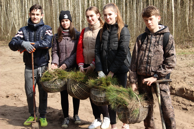 На Берестовитчине стартовала «Неделя леса»