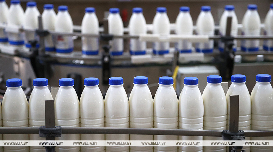 <strong>Минсельхозпрод: количество стран-импортеров нашей продукции ежегодно растет</strong>