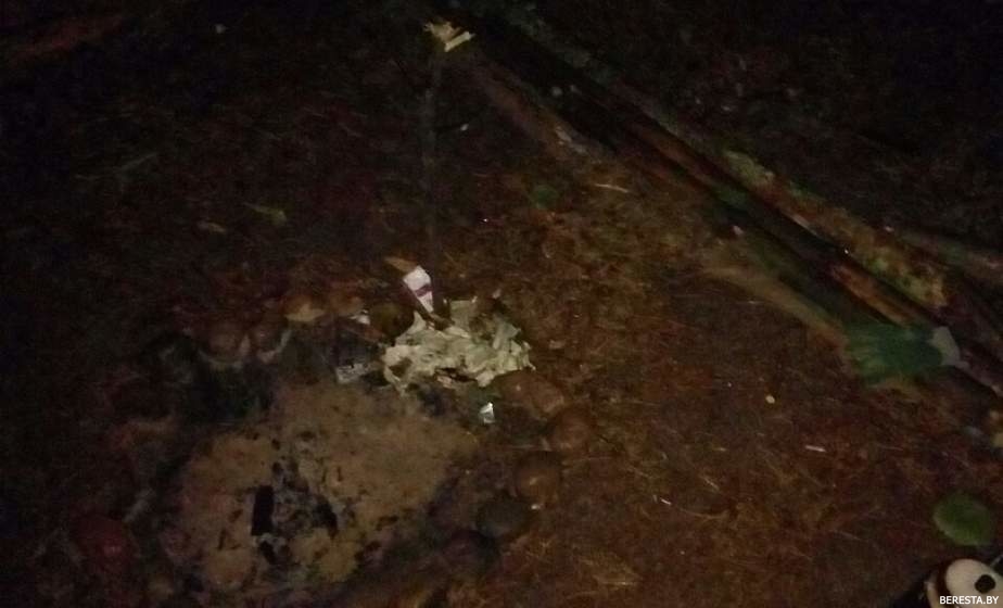 В деревне под Берестовицей нашли беглых подростков. Это второй случай их исчезновения