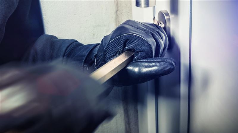 Предупреждение краж, совершенных из жилищ граждан