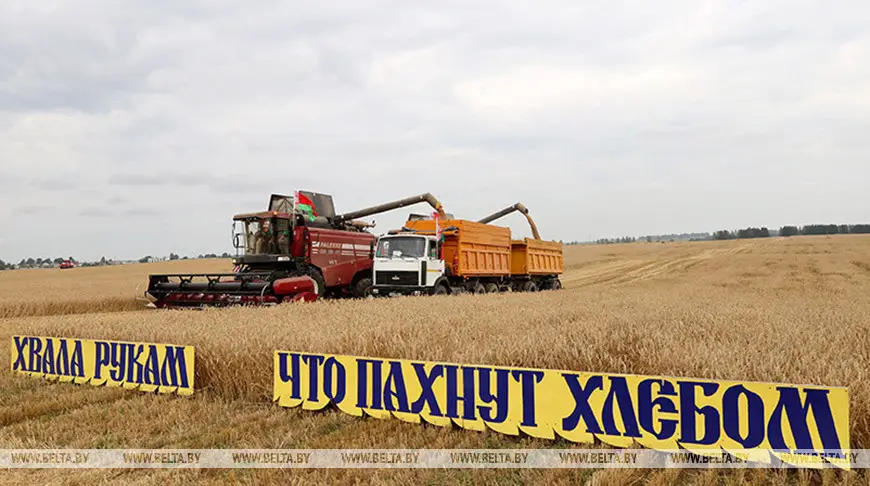 Мининформ открыл прием заявок на творческий конкурс "Хвала рукам, что пахнут хлебом"