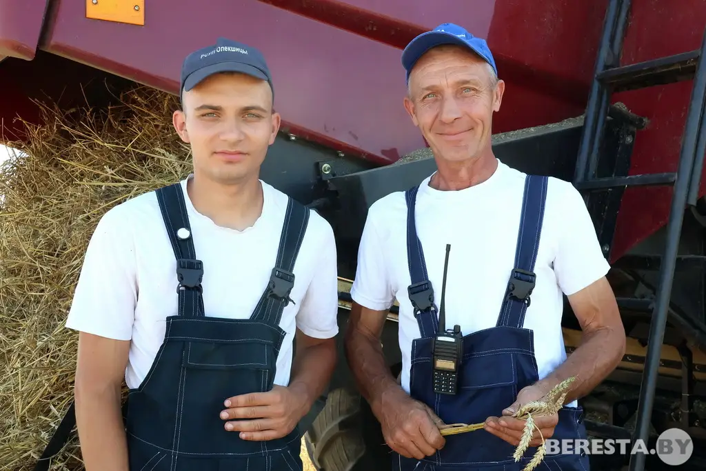 Семейный экипаж комбайнеров Виктора и Максима Гойликов из РСУП «Олекшицы»  – в деле!