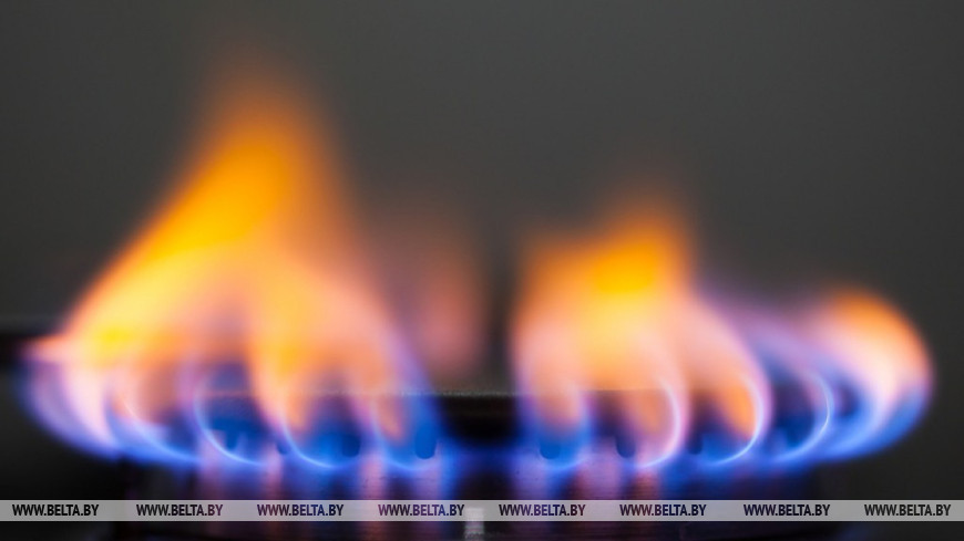 "Белтопгаз" напомнил о необходимости своевременно заменять газовые плиты