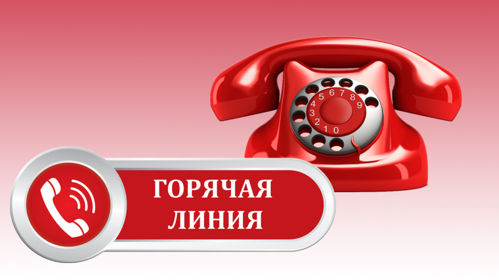 "Горячую линию" по вопросам ассортимента товаров для дошкольников и школьников проведет КГК Гродненской области
