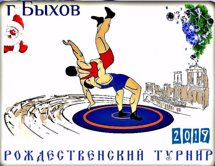 Воспитанники Берестовицкой ДЮСШ выступили на соревнованиях по вольной борьбе