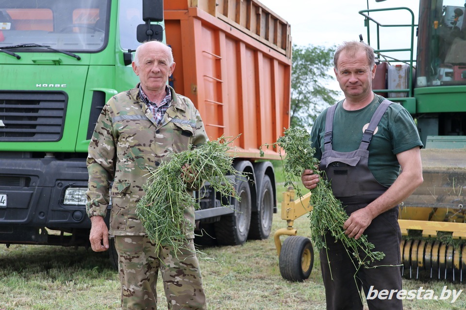 На Берестовитчине активно идет кормозаготовительная кампания
