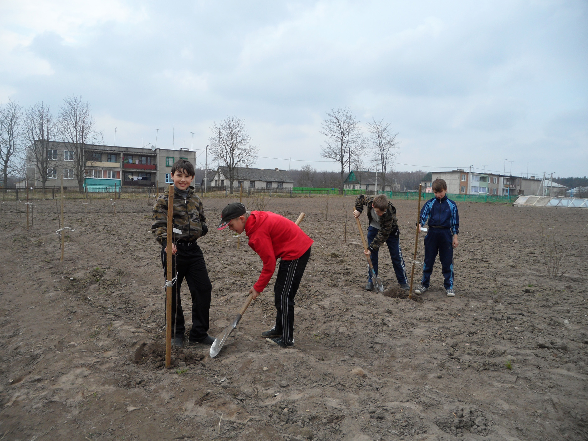 Кватарскія школьнікі пасадзілі свой сад