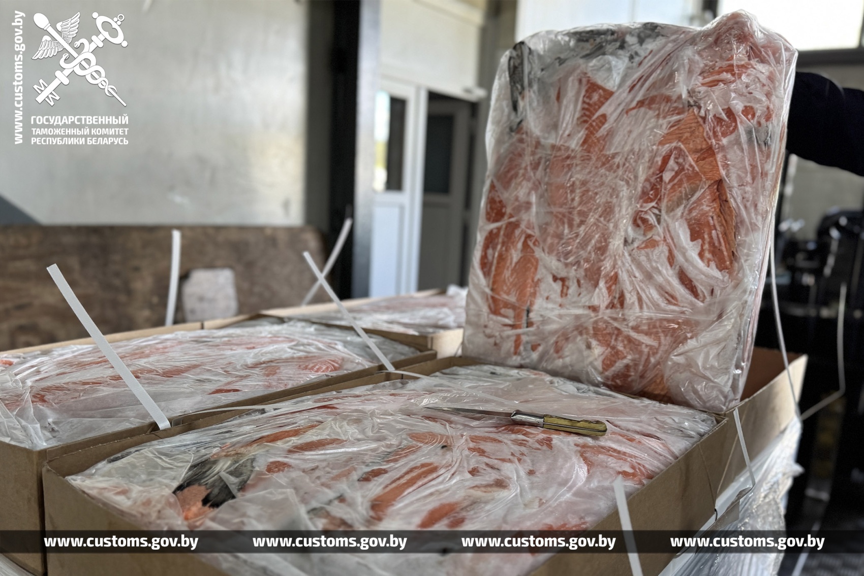 Схему незаконного ввоза 130 поставок рыбной продукции непонятного происхождения пресекли белорусские таможенники