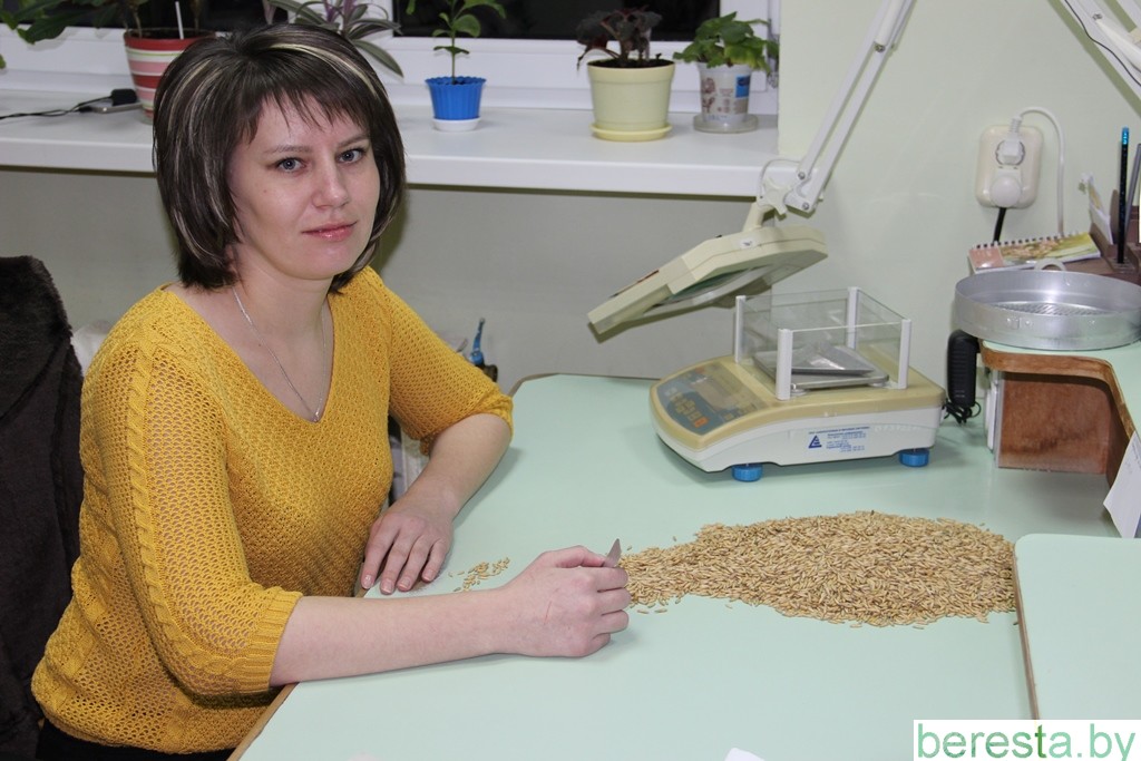 Берестовицкая государственная инспекция по семеноводству, карантину и защите растений отметила 140-летний юбилей службы